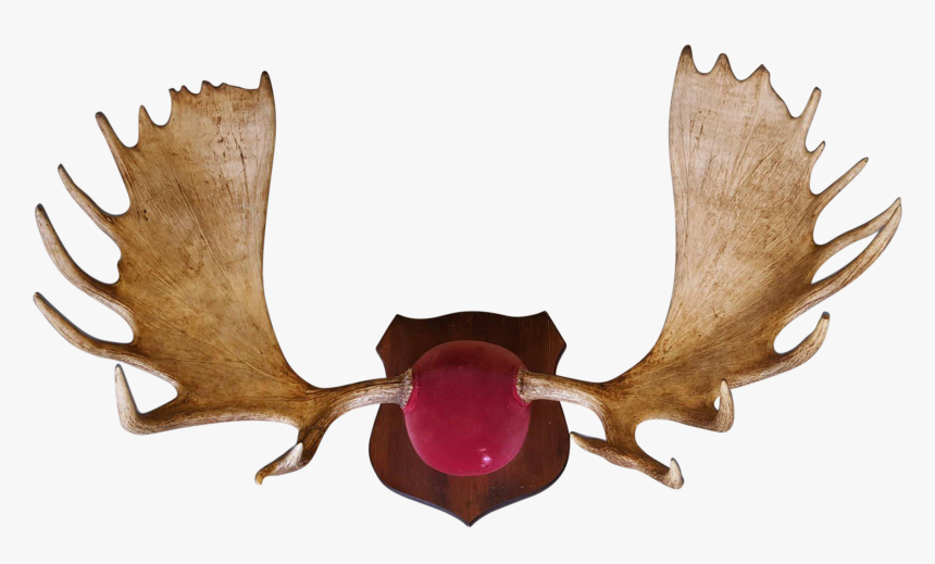 Hand Painted Antlers Png Download - Vampire Bat, Transparent Png, Free Download