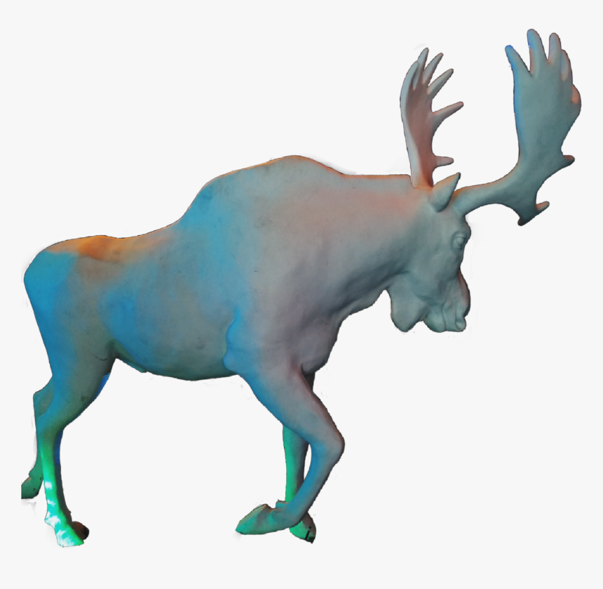 #moose #sticker #antlers #horns #animal - Shadow Animal, HD Png Download, Free Download