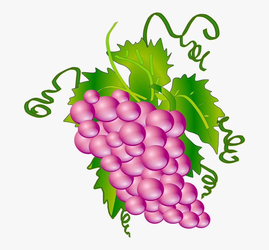 Grapes, Bunch, Cluster, Branch, Vine, Leaves - Grapes Animation, HD Png Download, Free Download