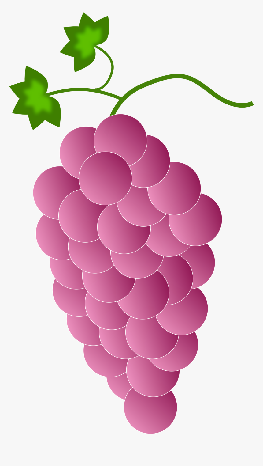 Pink Grapes Clip Arts - Purple Grapes, HD Png Download, Free Download