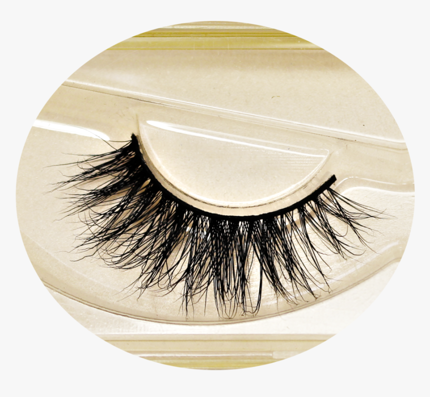 Transparent False Eyelashes Clipart - Eyelash Extensions, HD Png Download, Free Download