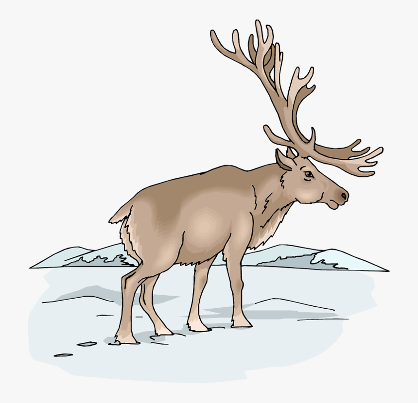 Pair Of Moose Clipart Transparent Background, HD Png Download, Free Download