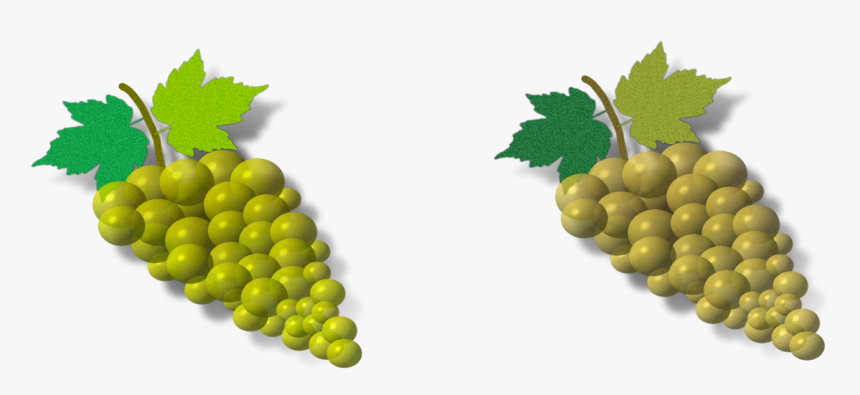 Transparent Grapes Vector Png - Seedless Fruit, Png Download, Free Download