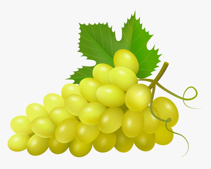 Svg Royalty Free Grapes Clipart Watercolor - Uvas Clipart, HD Png Download, Free Download
