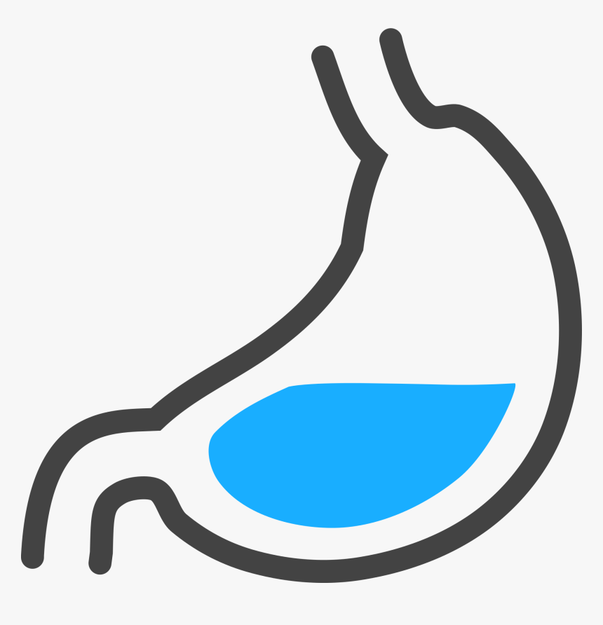 Png Images Stomach Id 21722 Water In Stomach - Stomach Acid Clipart, Transparent Png, Free Download