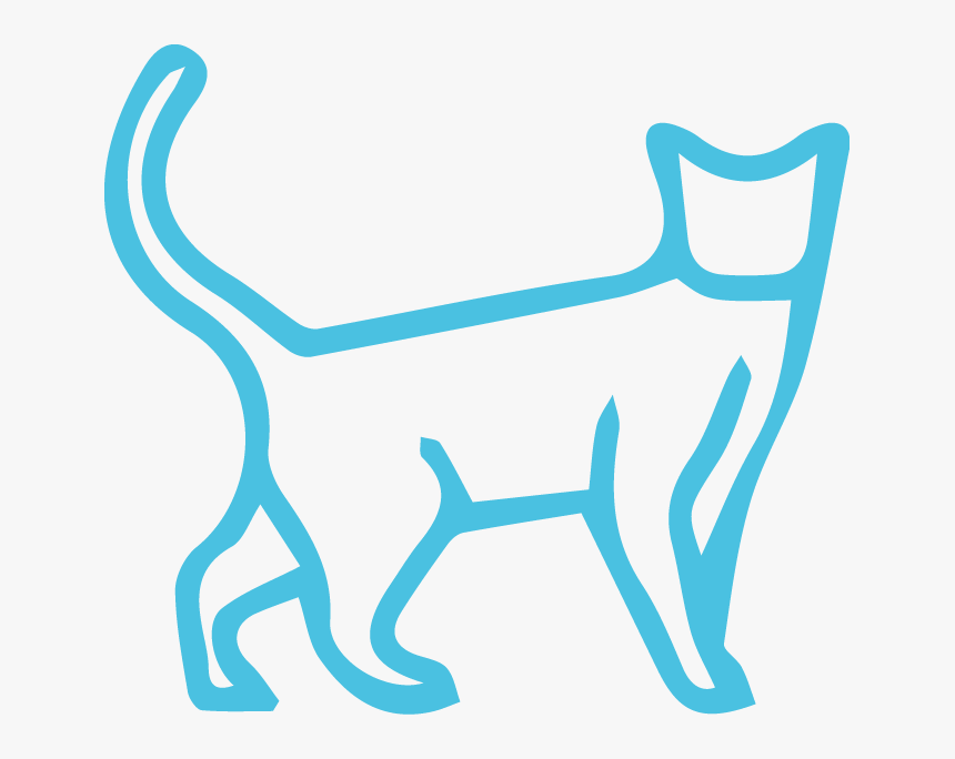 Cat, HD Png Download, Free Download