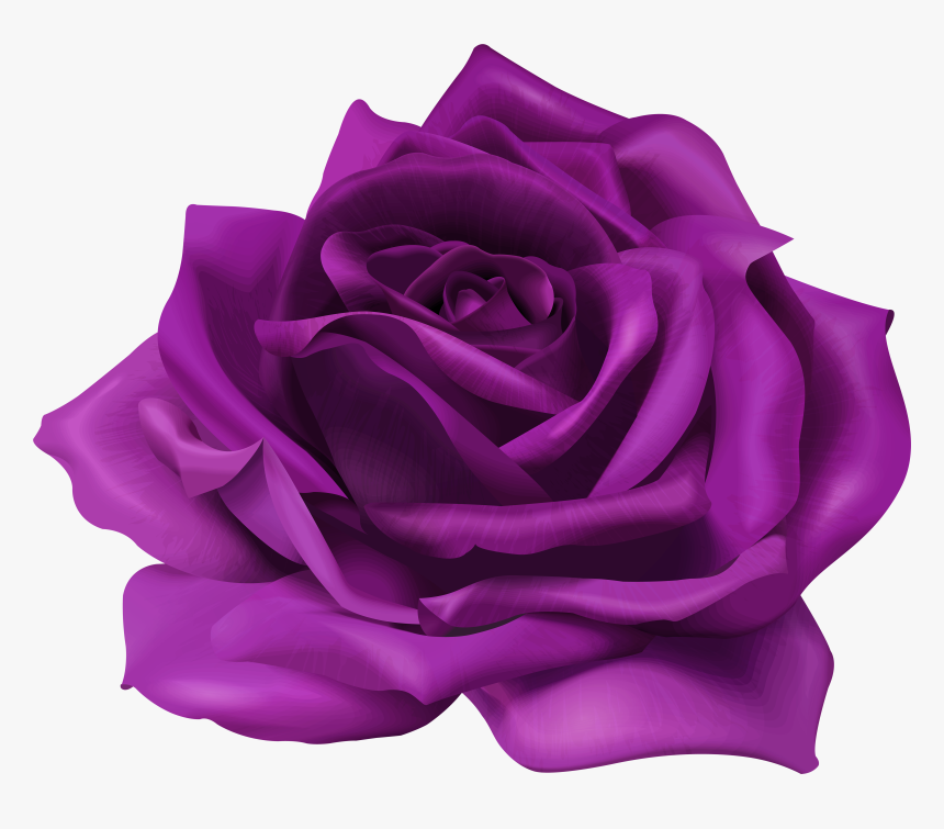 Rose Png Purple - Transparent Purple Flower Png, Png Download, Free Download
