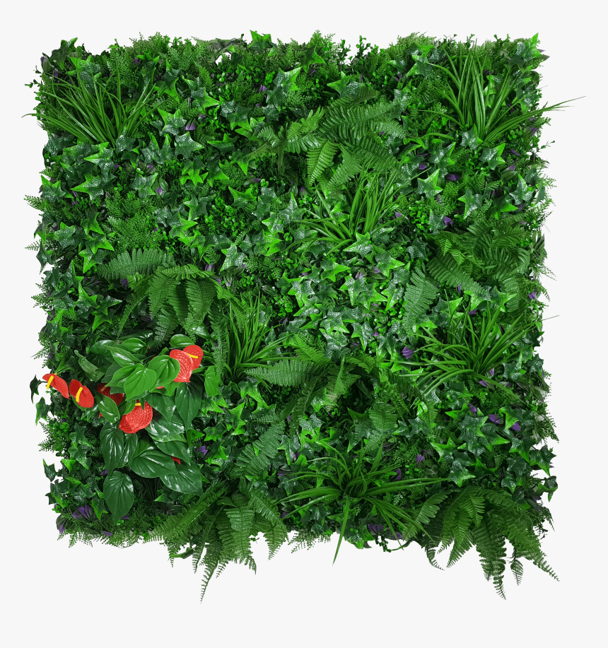 Transparent Hanging Ivy Png - Artificial Jungle, Png Download, Free Download