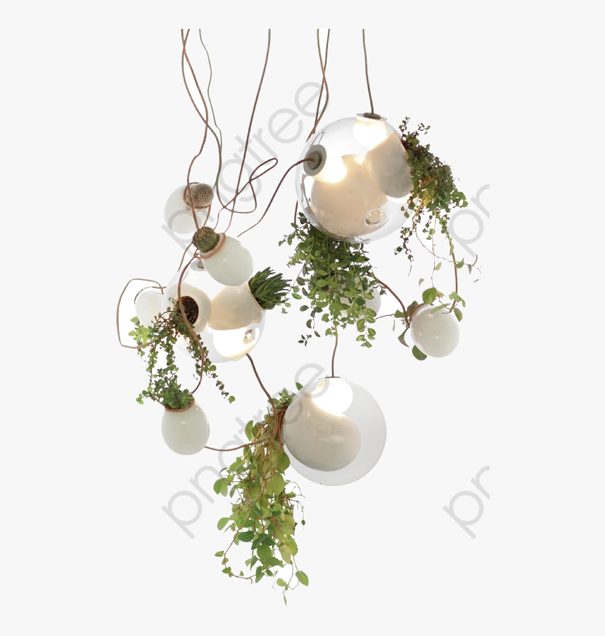 Green Plants Clipart Light - Bocci Lights With Plants, HD Png Download, Free Download