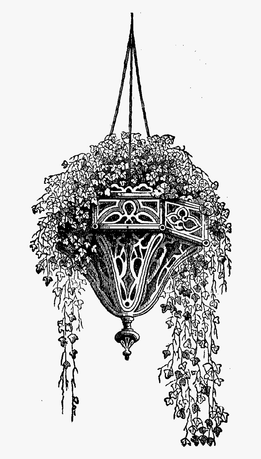 Hanging Flower Basket Drawing, HD Png Download, Free Download