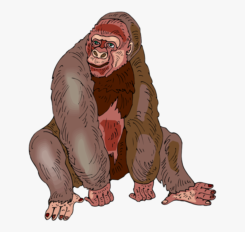 Free Gorilla Clipart - Endangered Animal Flash Cards, HD Png Download, Free Download