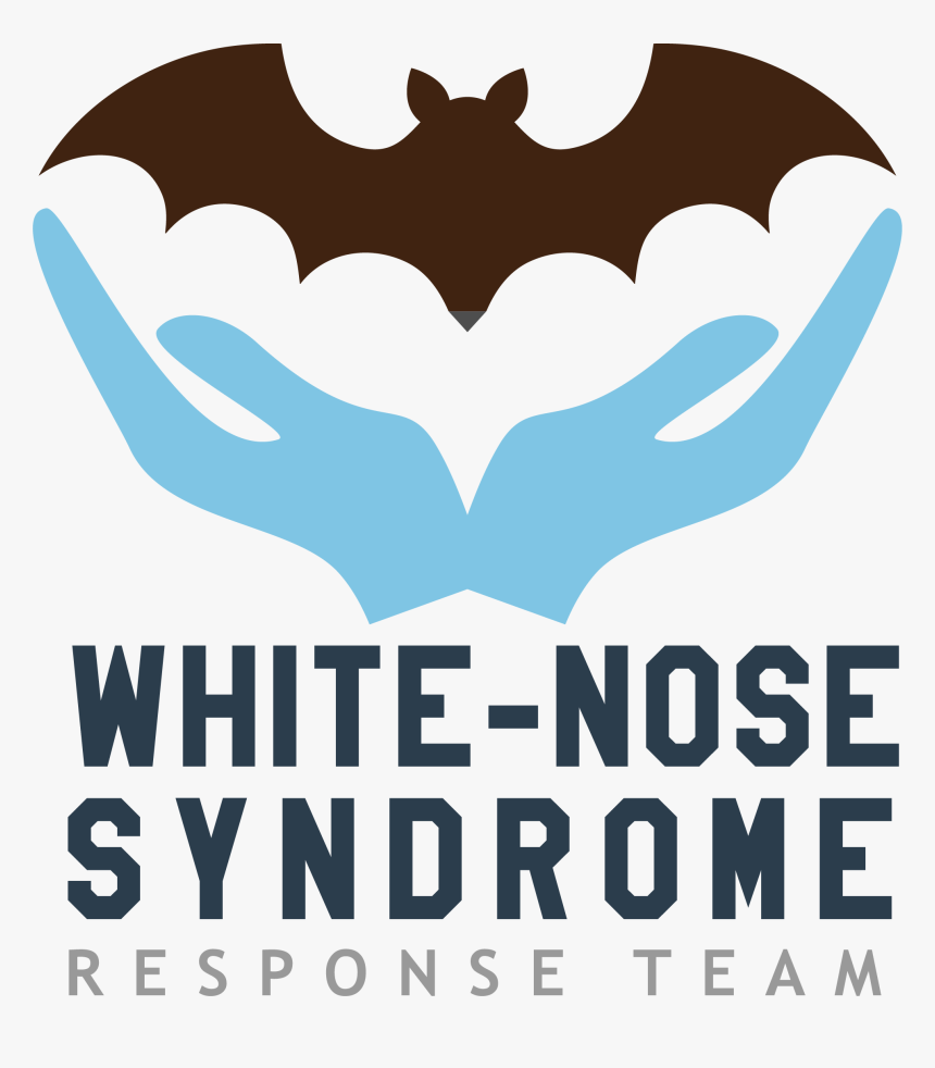 Transparent Nose Png - White Nose Syndrome Response Team, Png Download, Free Download