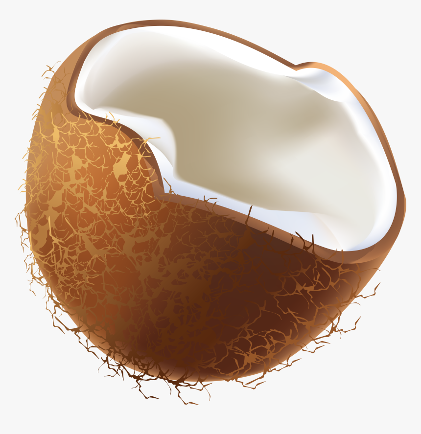 Download And Use Coconut Png - Transparent Coconut Vector Png, Png Download, Free Download