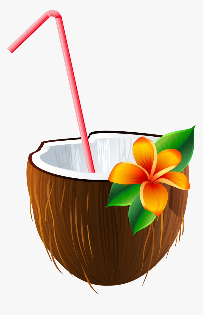 Coconut Drink Png, Transparent Png, Free Download