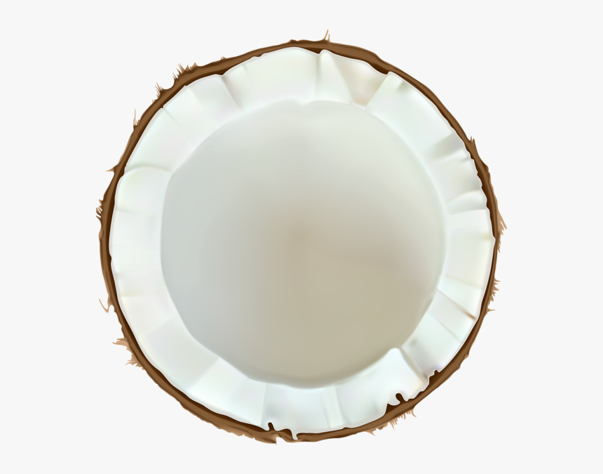 Coconut Png Images - Coconut, Transparent Png, Free Download