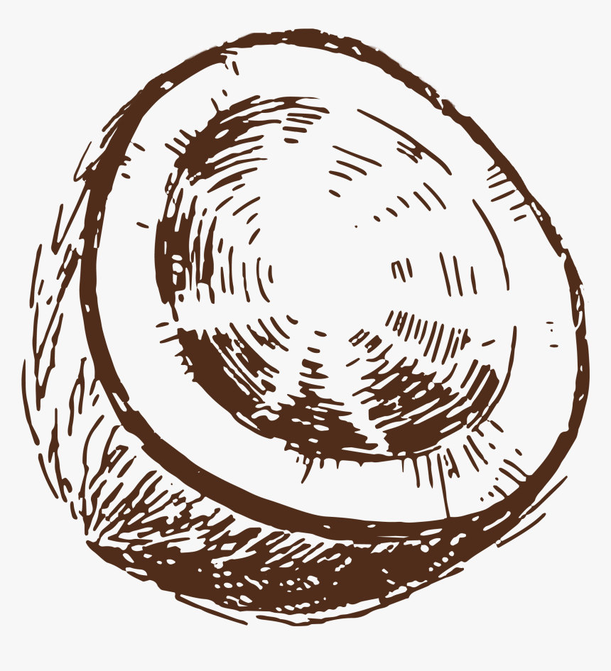 Transparent Coconut Clipart Png - Coconut Sketch Png Transparent, Png Download, Free Download