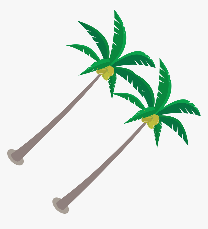 Branch Clipart Coconut - Illustration, HD Png Download, Free Download