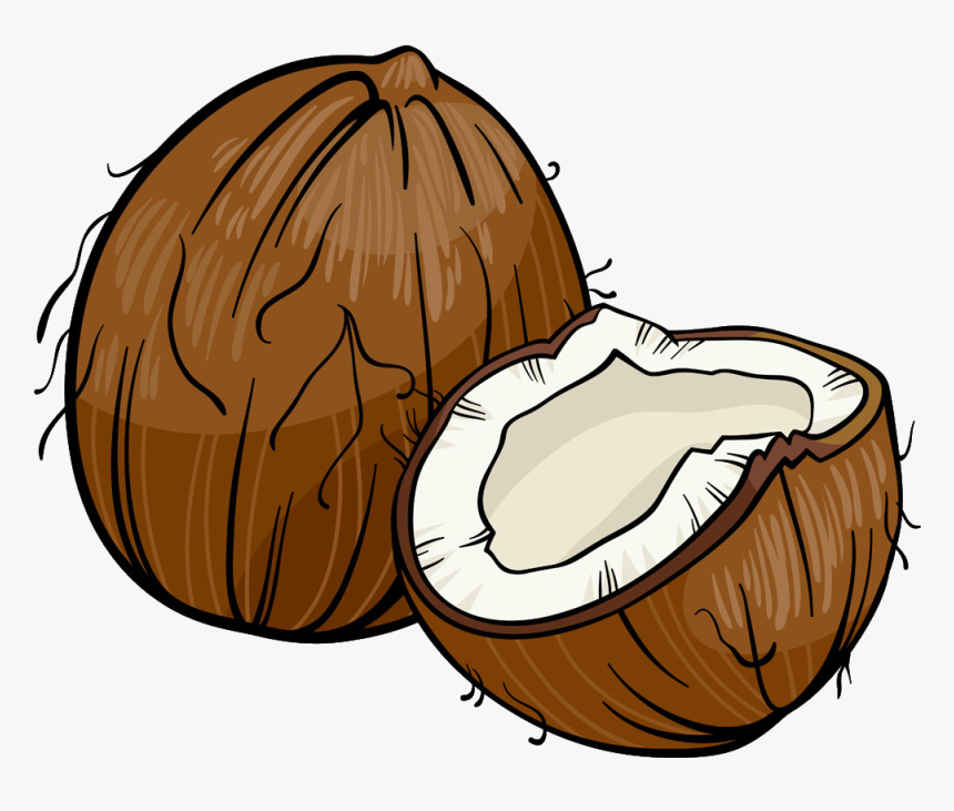 Coconut Cartoon Royalty-free Illustration - Coconut Cartoon Png, Transparent Png, Free Download