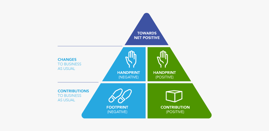 2019 04 23 L Infographic Pursuitnetpositive P31 - Ai And Ml, HD Png Download, Free Download