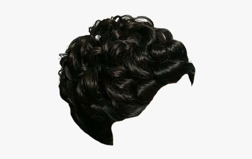 Hair Png Favourites By - Black Hair Bun Png, Transparent Png, Free Download