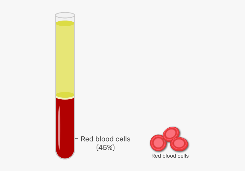 Animation Slide Showing The 45% Or Red Blood Cells - Red Blood Cells Centrifuge, HD Png Download, Free Download