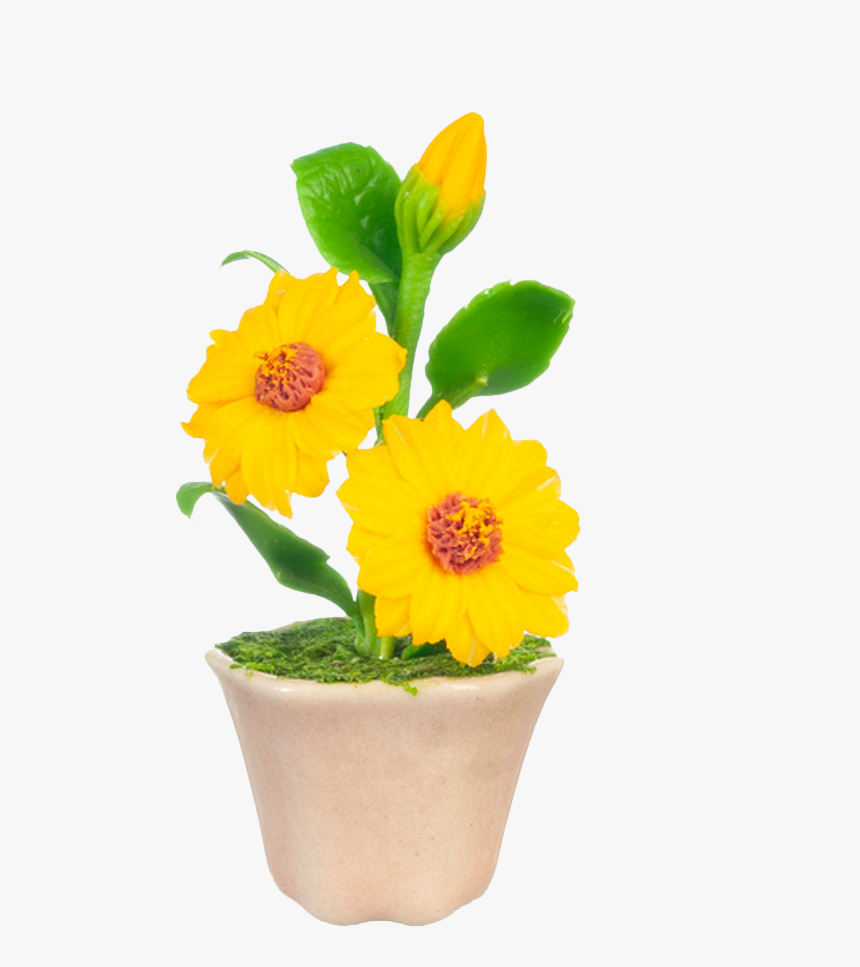 Sunflowers In A Pot Dollhouse Miniature - English Marigold, HD Png Download, Free Download
