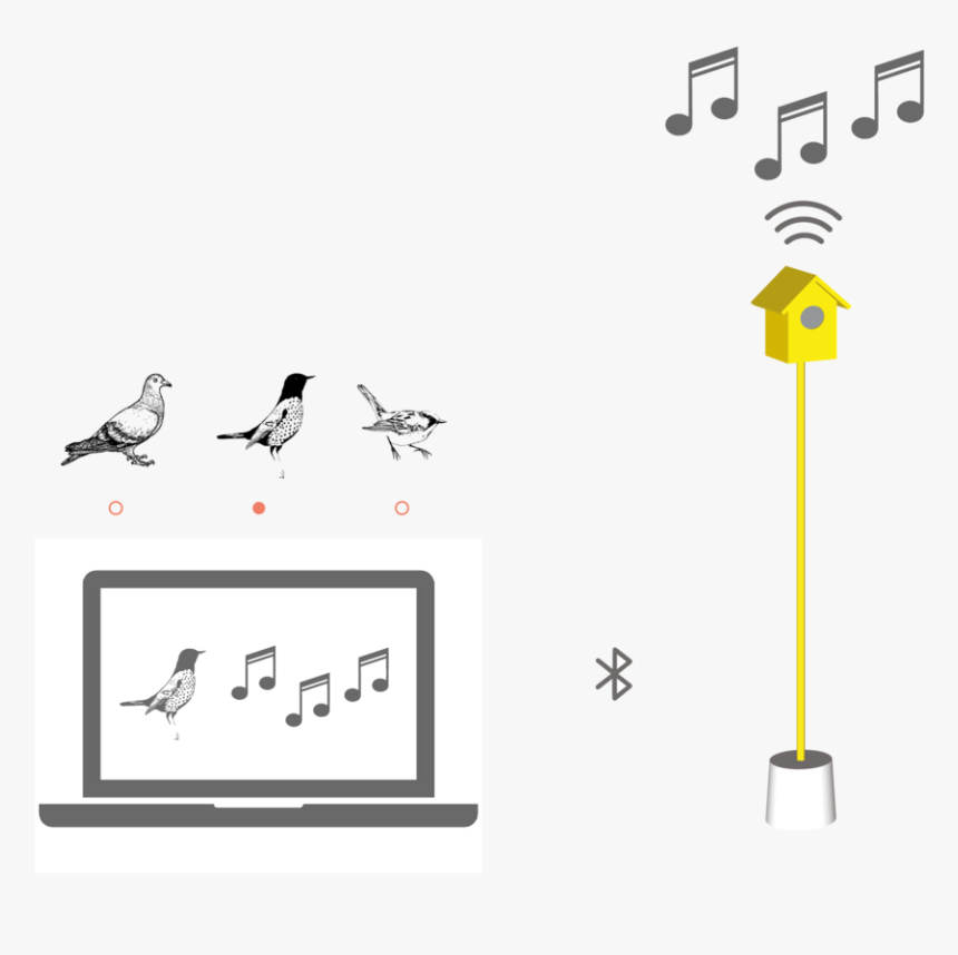 Hearing Birdsong Website Animations-02 - Illustration, HD Png Download, Free Download