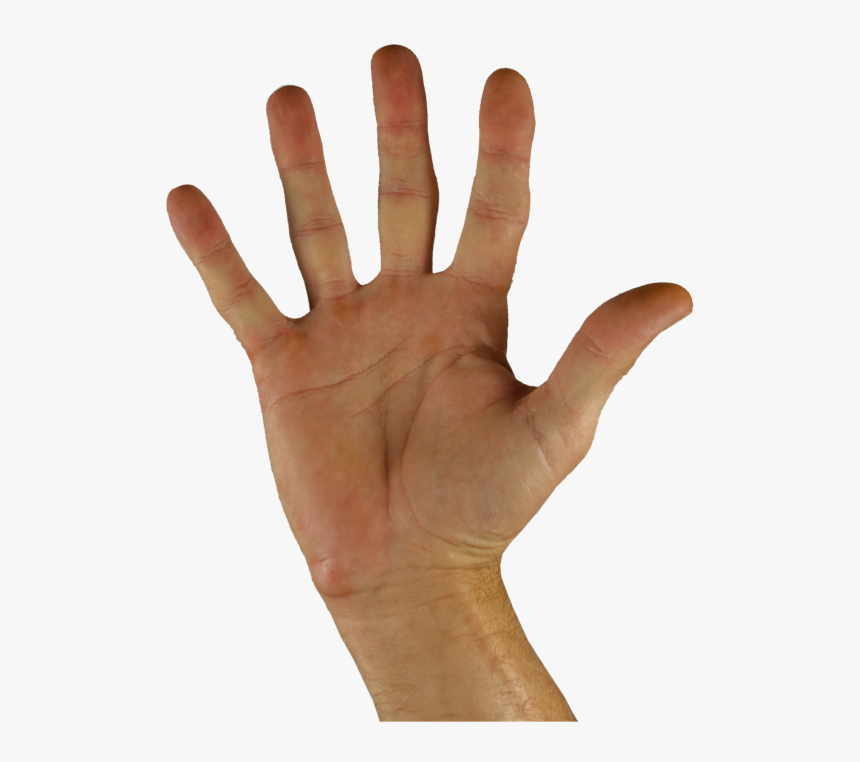 Transparent Sign Language Png - Sign Language, Png Download, Free Download