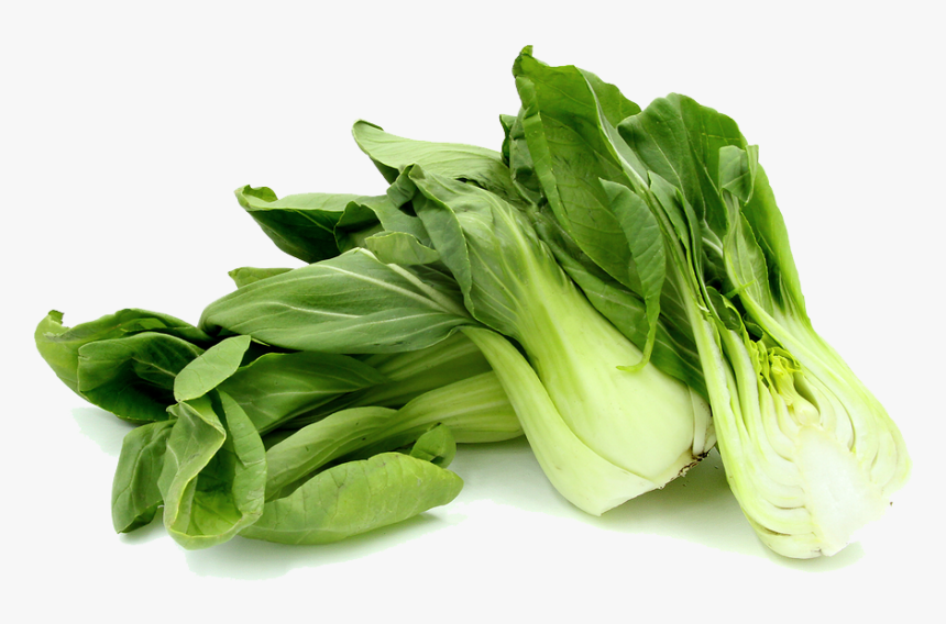 Download Bok Choy Png Photos - Bok Choy, Transparent Png, Free Download