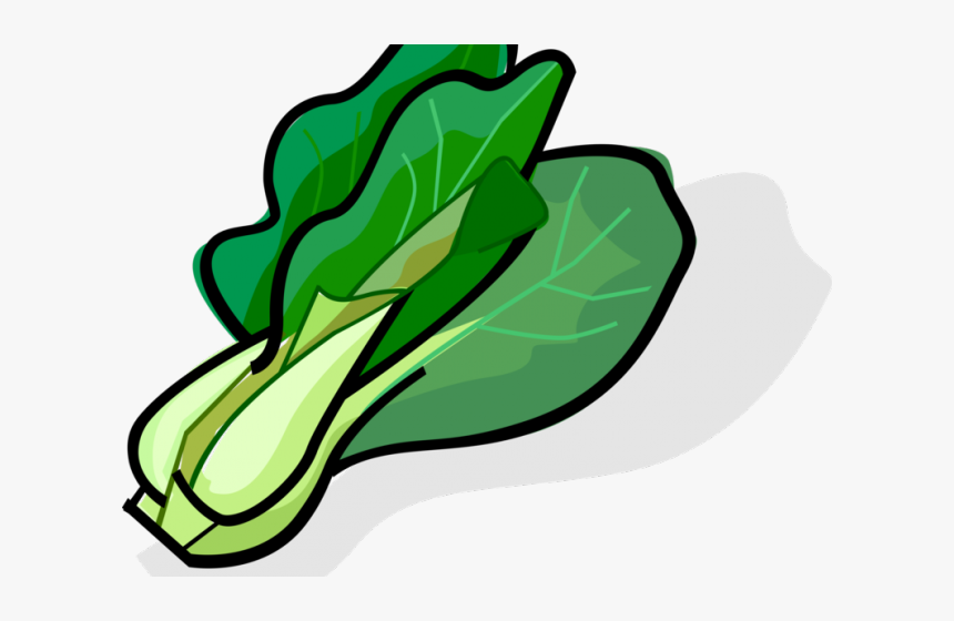 Bok Choy Clipart Single Vegetable - Bok Choy Clipart, HD Png Download, Free Download