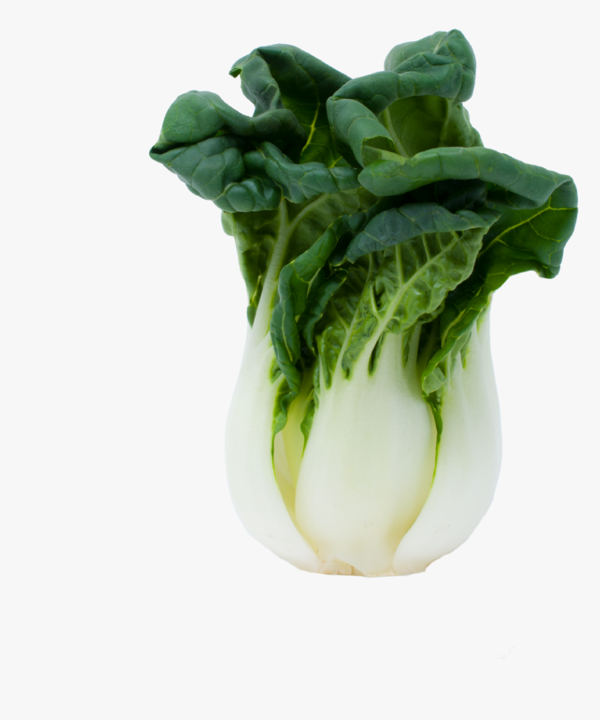 Baby Choy Mieu Chinese Vegetable - Romaine Lettuce, HD Png Download, Free Download