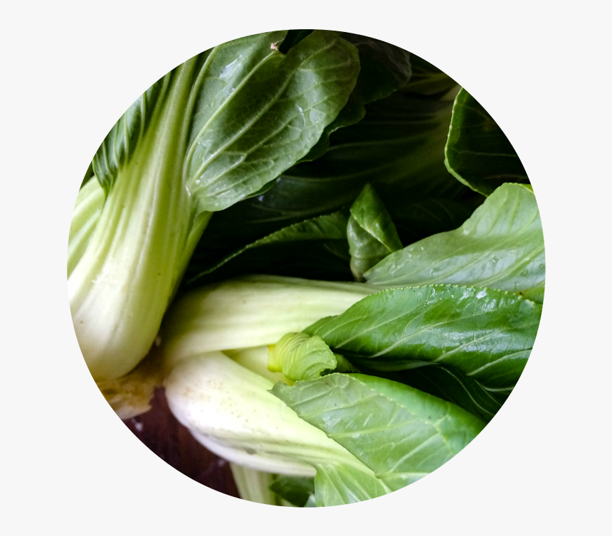 Bok Choy-1 - Cruciferous Vegetables, HD Png Download, Free Download