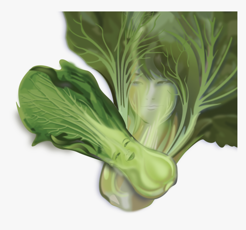 Chard, HD Png Download, Free Download