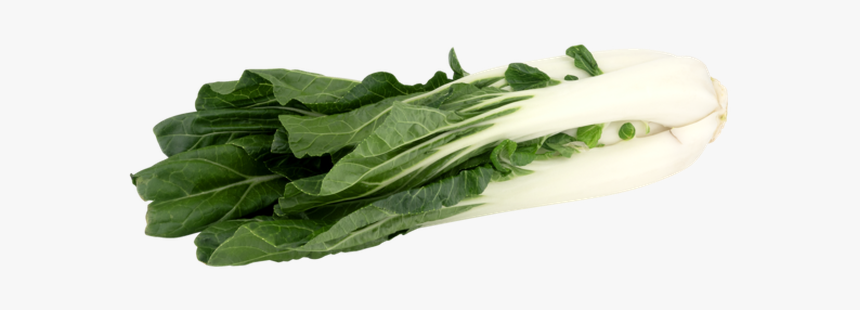 Bok Choy Png, Transparent Png, Free Download