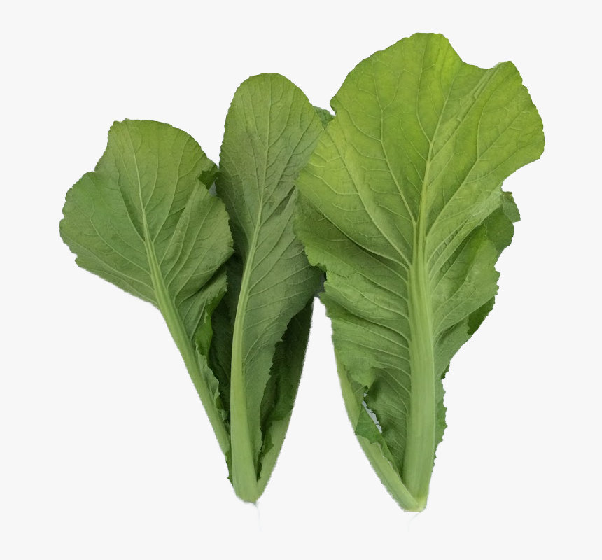 Mustard Greens, HD Png Download, Free Download