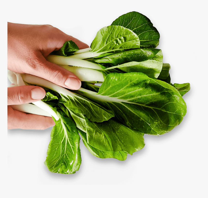 Spinach, HD Png Download, Free Download