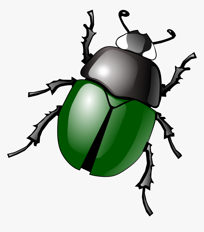 Famous Clipart - Beetle Clipart, HD Png Download, Free Download