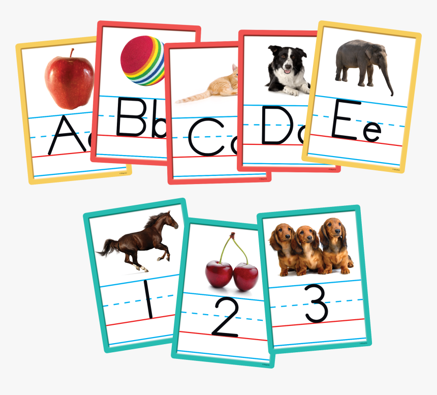 Alphabet And Numbers Accents, HD Png Download, Free Download