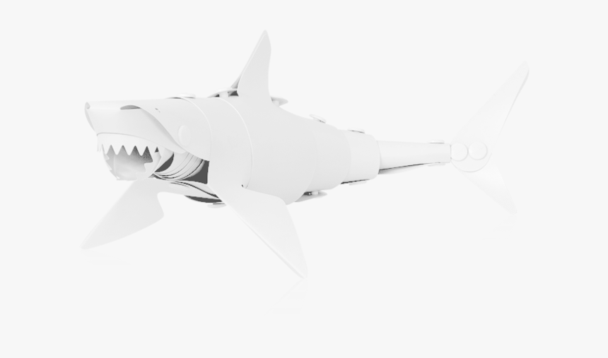 Main - Great White Shark, HD Png Download, Free Download