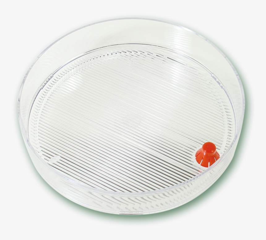 Transparent Tray Png - Circle, Png Download, Free Download