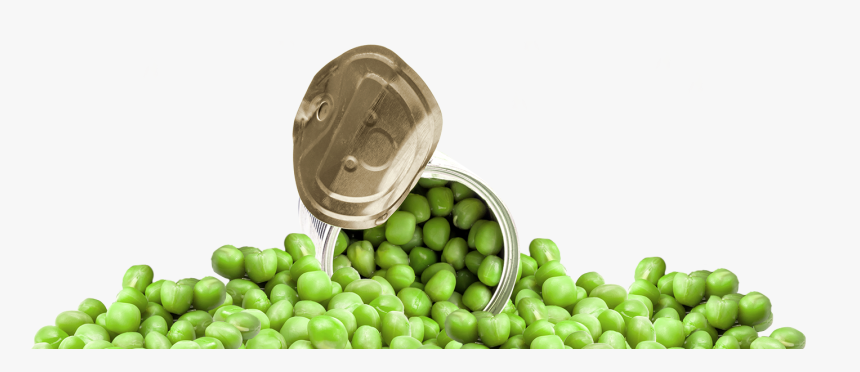 Photo Of Canned Peas - Snap Pea, HD Png Download, Free Download