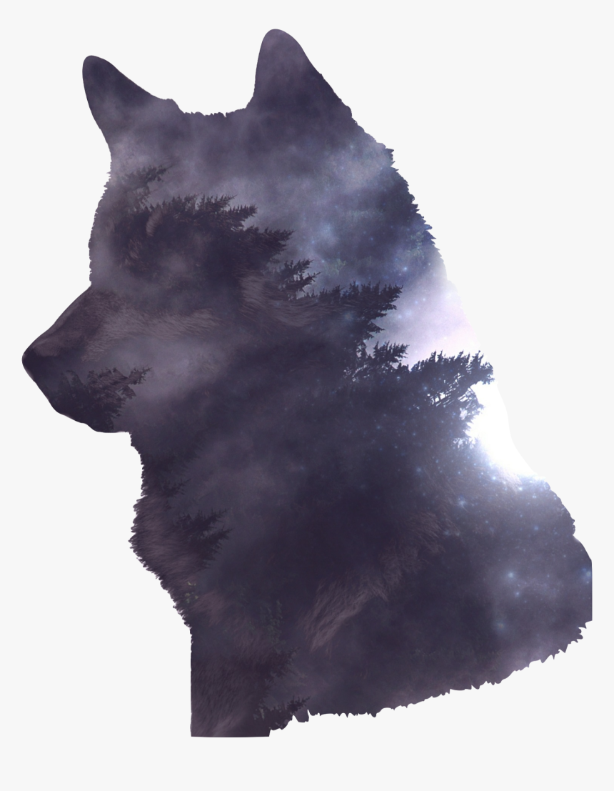 Transparent Wolf Png , Png Download - Wolf Photoshop, Png Download, Free Download