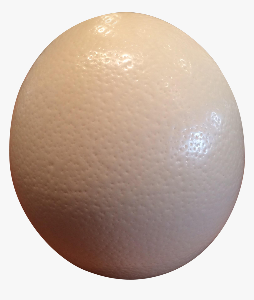 Ostrich Eggs Png Image Black And White Stock - Sphere, Transparent Png, Free Download