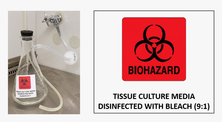 Label The Flask - Tissue Culture Liquid Waste, HD Png Download, Free Download