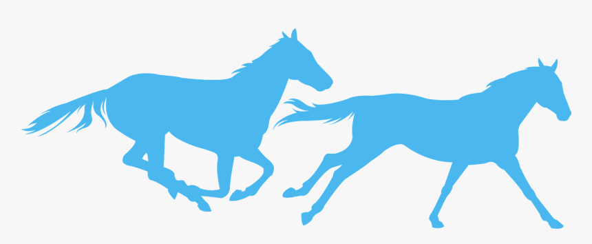 Mustang Horse, HD Png Download, Free Download
