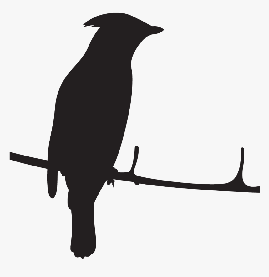 Cedar Waxwing Silhouette, HD Png Download, Free Download