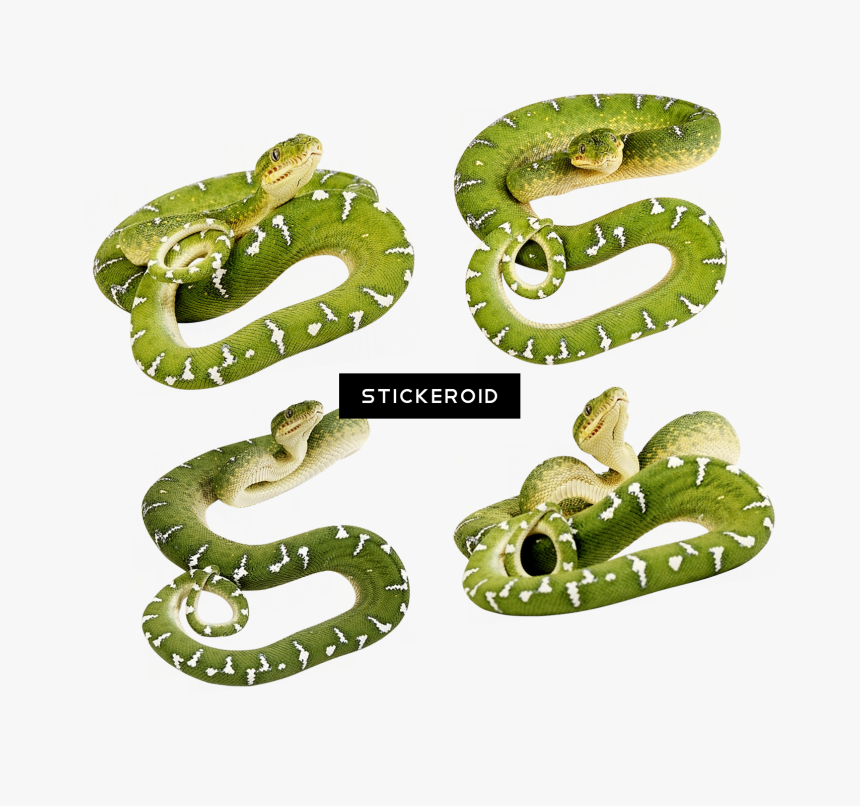 Cobra Snake , Png Download - Serpent Snake, Transparent Png, Free Download