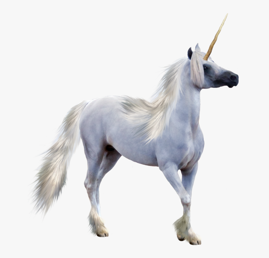 Winged Unicorn Pegasus - Realistic Unicorn Transparent, HD Png Download, Free Download