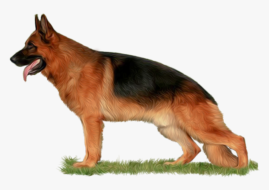 Png Freeuse Library The Home Of Babylonland Kennel - Download Hd Images Of German Shepherd Dog, Transparent Png, Free Download