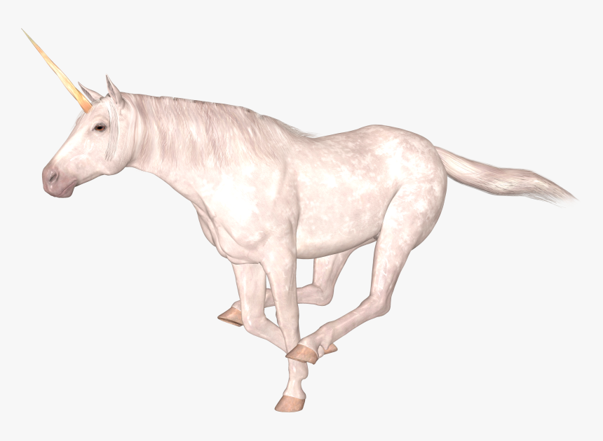 Stallion, HD Png Download, Free Download